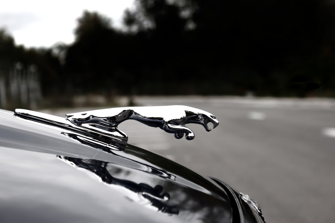 Automotive Rebranding Revolution: Why Car Manufacturers Are Reinventing ...